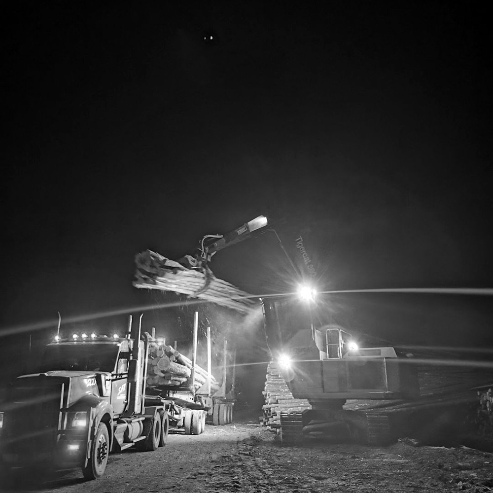 Heavy equipment lifting logs onto truck trailer