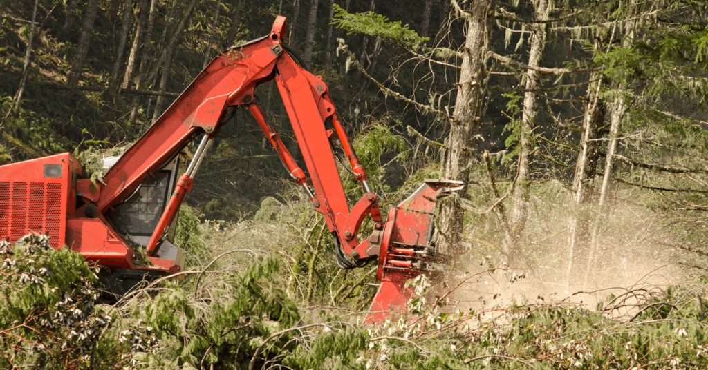 An excavator hard at work logging in the forest