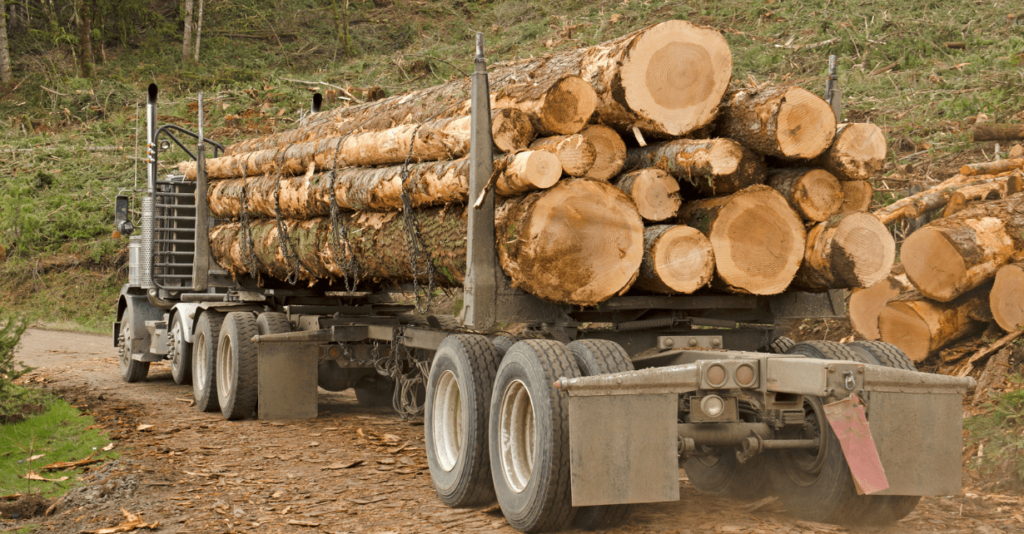 A hauler truck full of freshly cut logs on its way to make a delivery