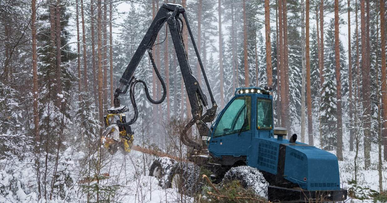 A Comprehensive Guide to Feller Bunchers by SAN Forestry, alberta's forestry experts!