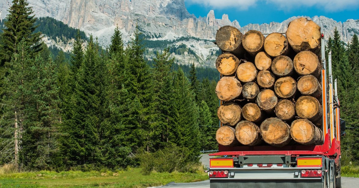 How Class 1 Drivers Power Forestry Operations
