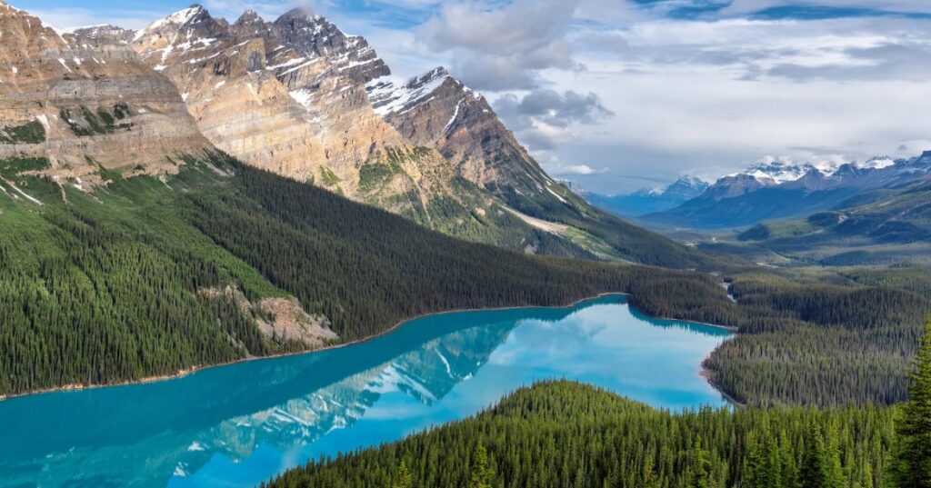 The Benefits of Professional Logging and Hauling Services in Western Canada