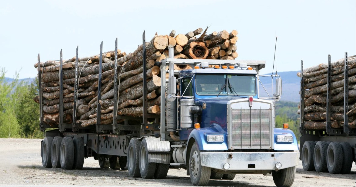 What It Takes to Become a Successful Forestry Truck Driver in Canada