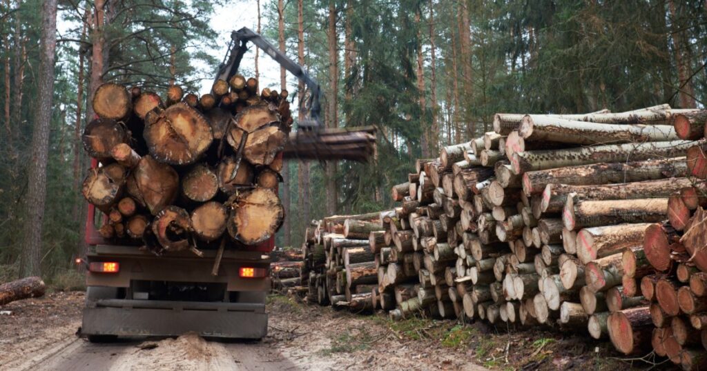 What It Takes to Become a Successful Forestry Truck Driver in Canada