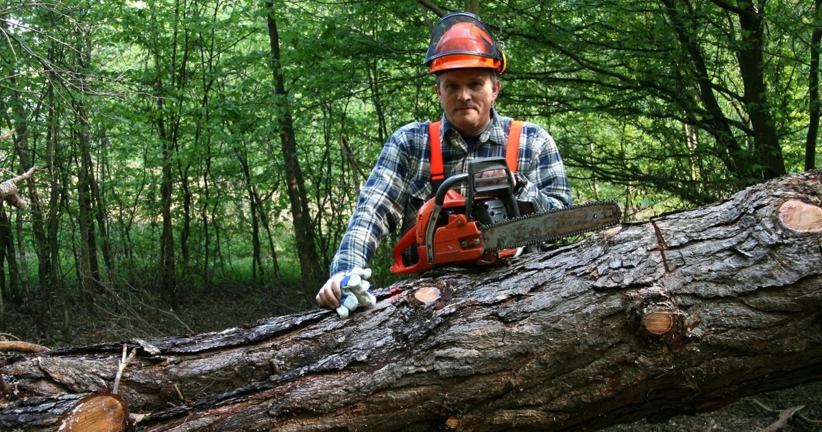Critical Mistakes to Avoid When Hiring Forestry Contractors in Western Canada