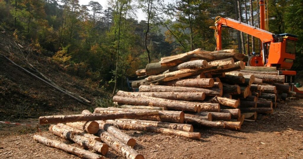 Carbon Sequestration and Sustainable Forestry: How Modern Logging Practices Fight Climate Change: Addressing Common Misconceptions