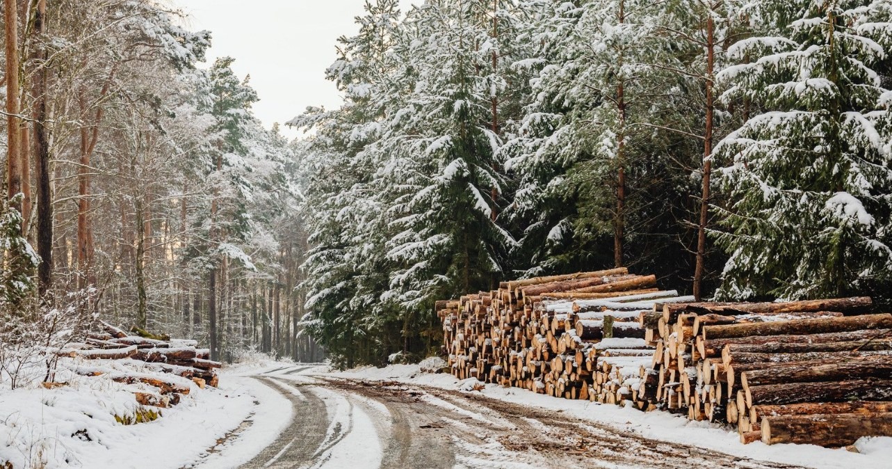 image Balancing Profit and Preservation: A Practical Guide for Landowners