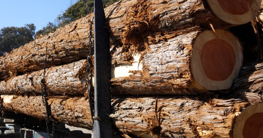 Navigating the Challenges of Low Bedding in Western Canada