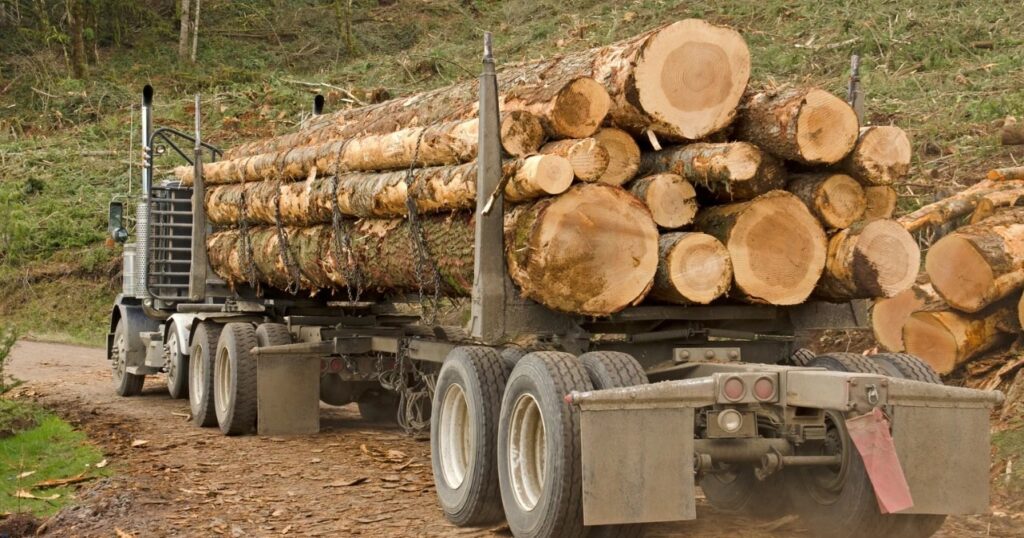 Realistic Service Constraints and Heavy Equipment Logistics for Alberta Acreage Land Clearing