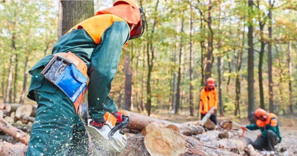 Working with Reliable Logging Contractors for Alberta Acreage Land Clearing