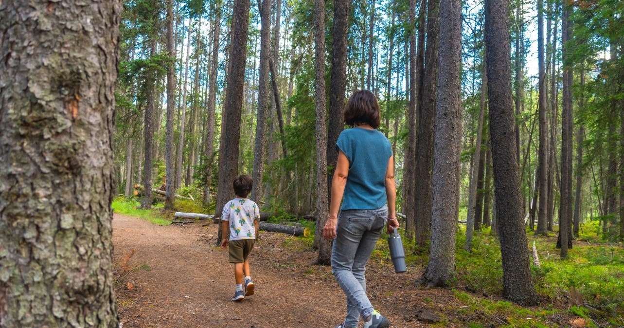 image Alberta Acreage Land Clearing: How to Clear Private Wood Without Environmental Code Violations